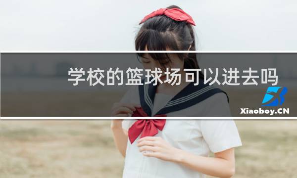 学校的篮球场可以进去吗图片