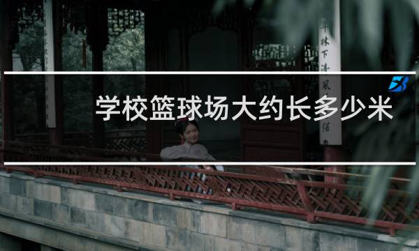 学校篮球场大约长多少米图片