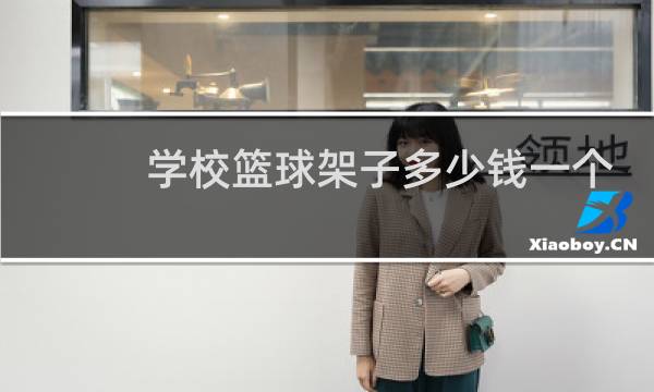 学校篮球架子多少钱一个图片