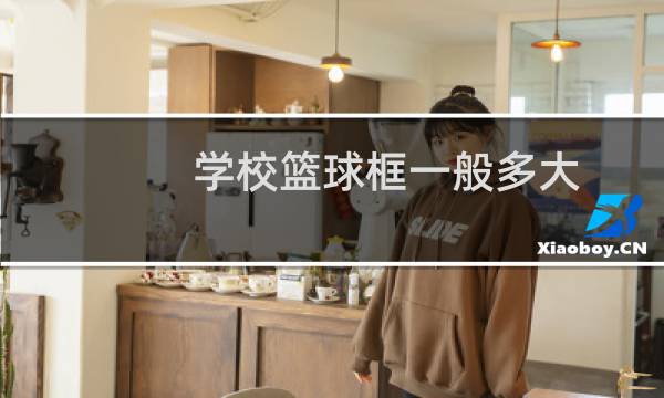 学校篮球框一般多大图片