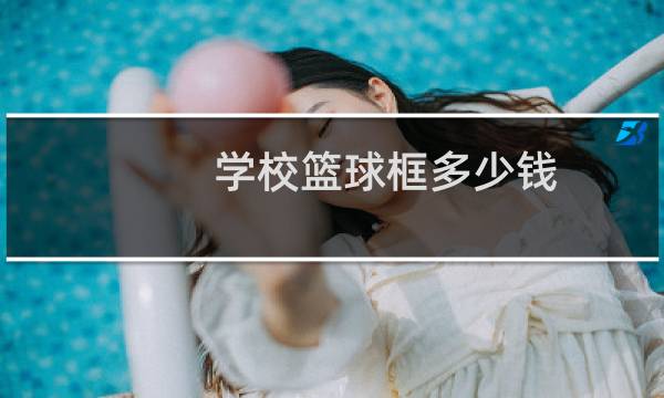 学校篮球框多少钱图片