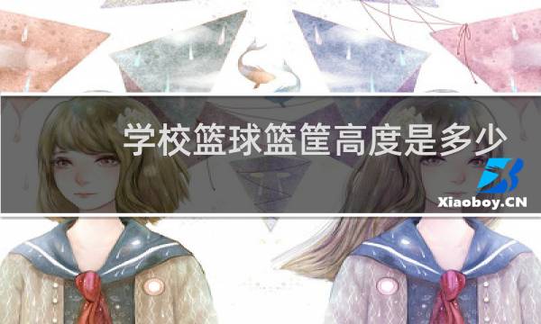 学校篮球篮筐高度是多少图片