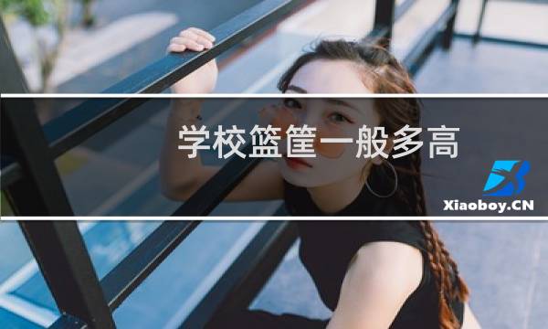 学校篮筐一般多高图片