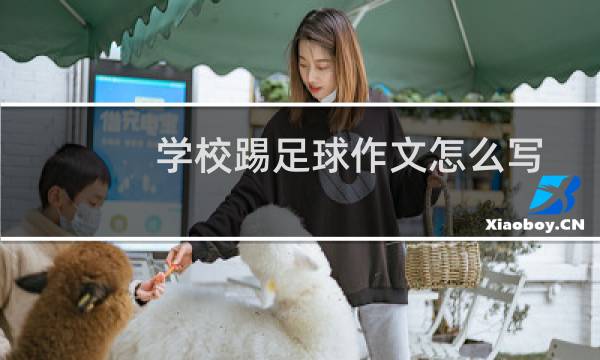 学校踢足球作文怎么写图片