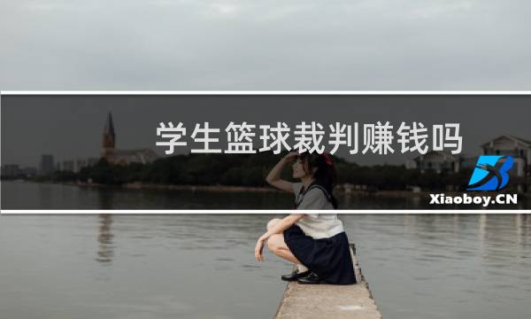学生篮球裁判赚钱吗图片