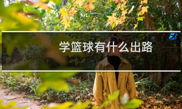 学篮球有什么出路图片