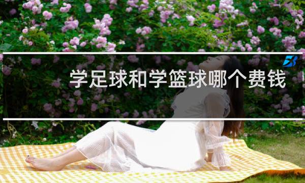 学足球和学篮球哪个费钱图片
