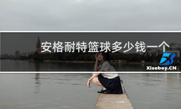 安格耐特篮球多少钱一个图片