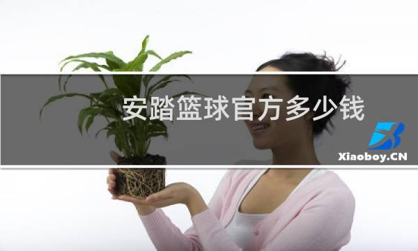 安踏篮球官方多少钱图片