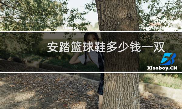 安踏篮球鞋多少钱一双图片