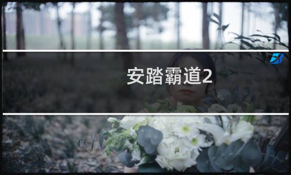 安踏霸道2.0是篮球鞋吗图片