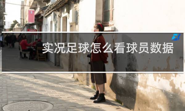 实况足球怎么看球员数据图片