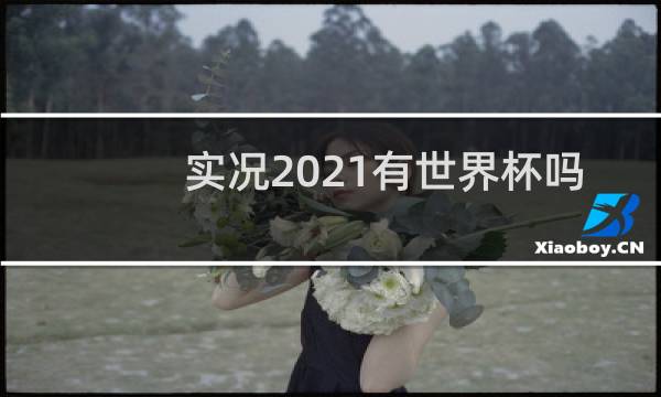 实况2021有世界杯吗图片