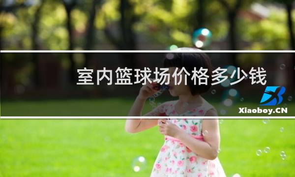 室内篮球场价格多少钱图片