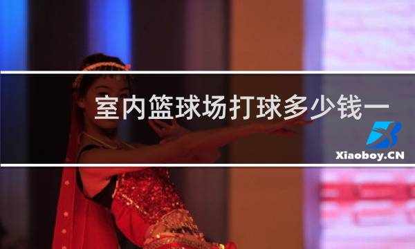 室内篮球场打球多少钱一个小时图片