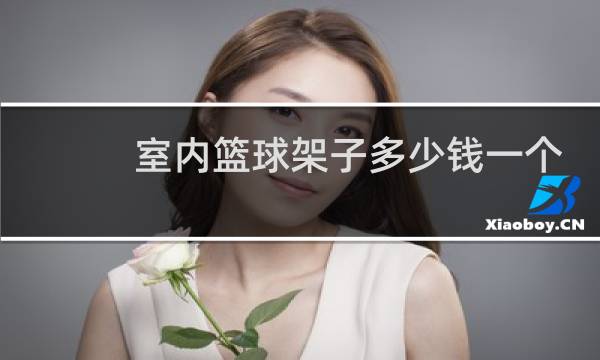 室内篮球架子多少钱一个图片