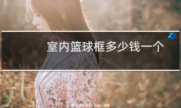 室内篮球框多少钱一个图片