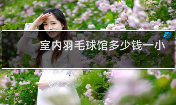 室内羽毛球馆多少钱一小时图片