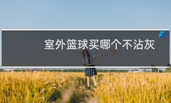 室外篮球买哪个不沾灰图片