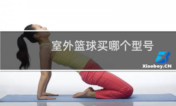 室外篮球买哪个型号图片