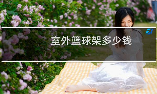 室外篮球架多少钱图片