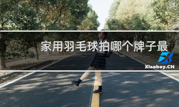 家用羽毛球拍哪个牌子最好耐用又便宜图片