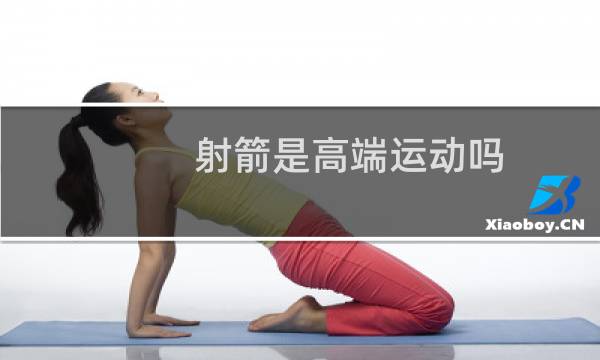 射箭是高端运动吗图片