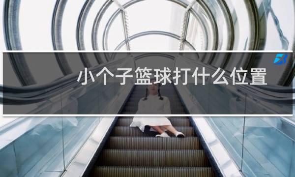 小个子篮球打什么位置图片