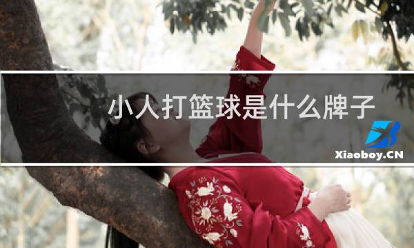 小人打篮球是什么牌子图片