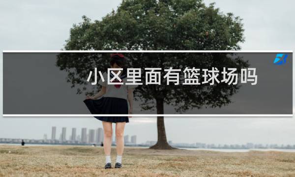 小区里面有篮球场吗图片
