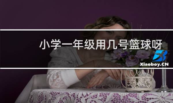 小学一年级用几号篮球呀图片