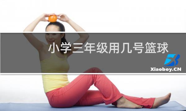 小学三年级用几号篮球图片