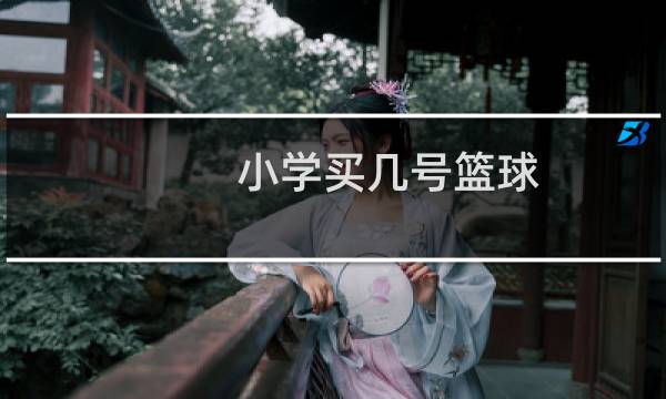 小学买几号篮球图片
