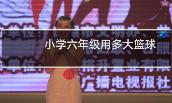 小学六年级用多大篮球图片