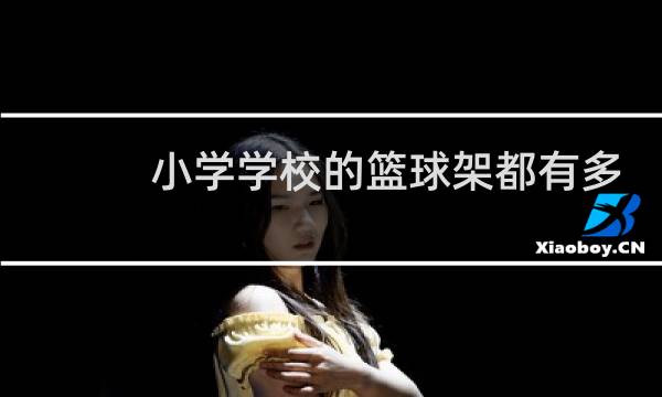 小学学校的篮球架都有多高图片