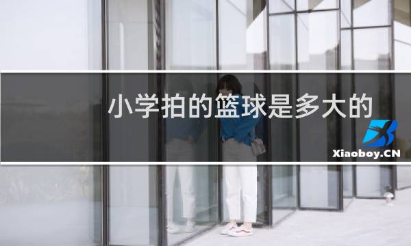 小学拍的篮球是多大的图片