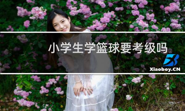 小学生学篮球要考级吗图片