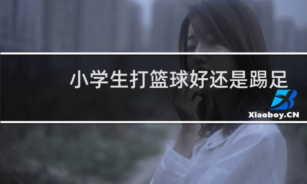 小学生打篮球好还是踢足球好图片