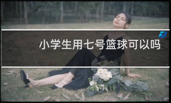 小学生用七号篮球可以吗图片