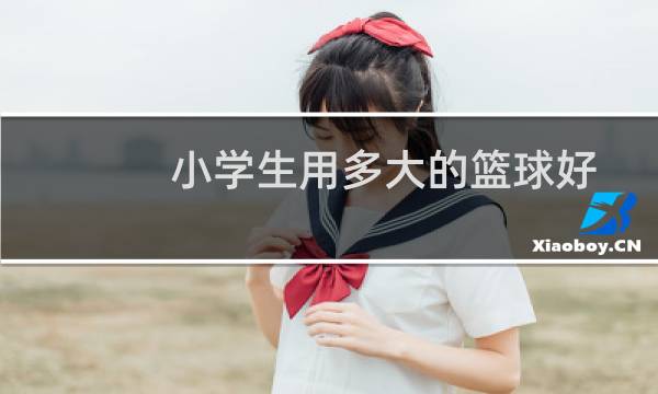 小学生用多大的篮球好图片
