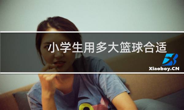 小学生用多大篮球合适图片