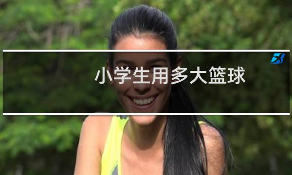 小学生用多大篮球图片
