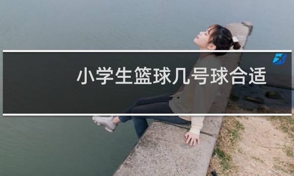 小学生篮球几号球合适图片