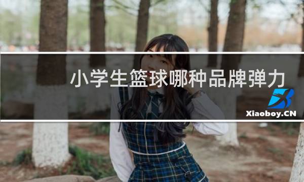 小学生篮球哪种品牌弹力好图片