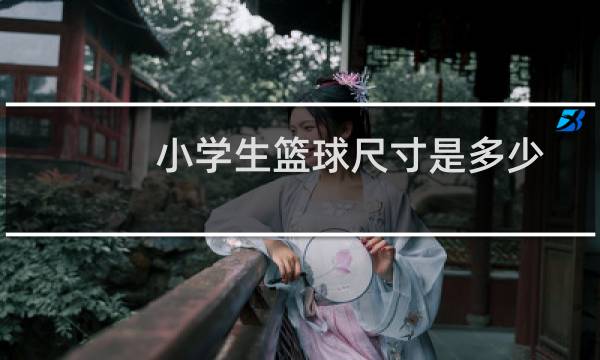 小学生篮球尺寸是多少图片