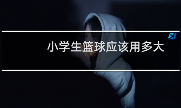 小学生篮球应该用多大图片