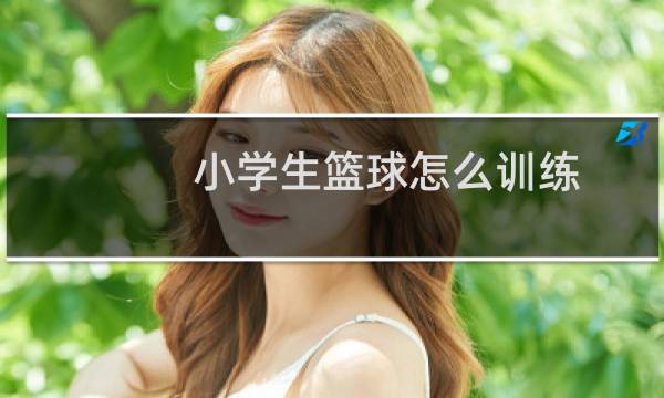 小学生篮球怎么训练图片