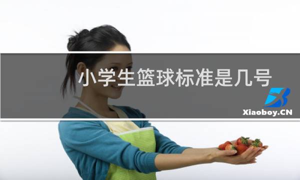 小学生篮球标准是几号图片