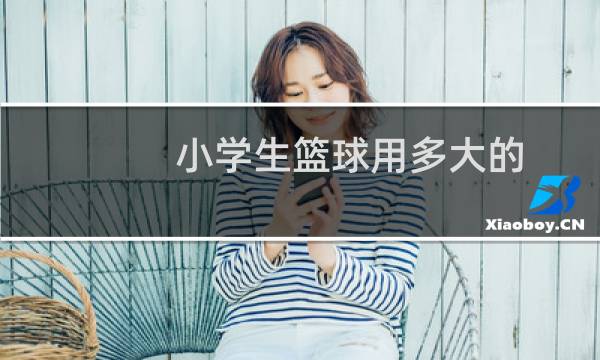 小学生篮球用多大的图片