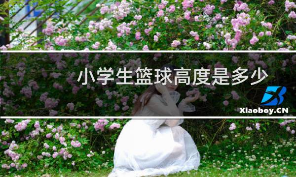 小学生篮球高度是多少图片